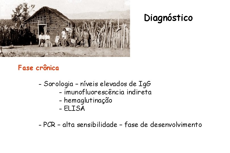 Diagnóstico Fase crônica - Sorologia – níveis elevados de Ig. G - imunofluorescência indireta Diagnóstico Fase crônica - Sorologia – níveis elevados de Ig. G - imunofluorescência indireta
