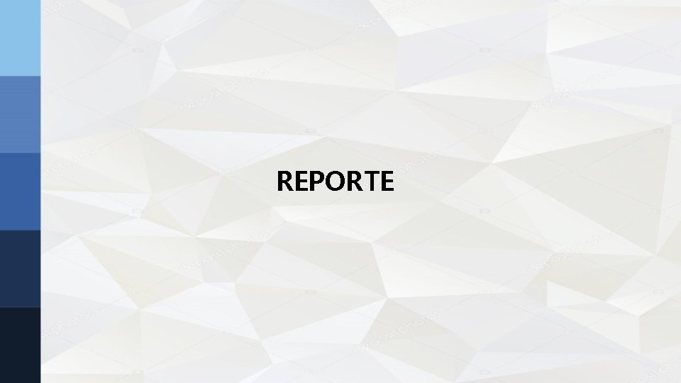 REPORTE REPORTE