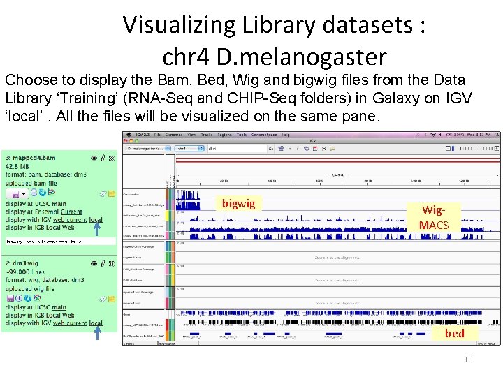 Visualizing Library datasets : chr 4 D. melanogaster Choose to display the Bam, Bed, Visualizing Library datasets : chr 4 D. melanogaster Choose to display the Bam, Bed,