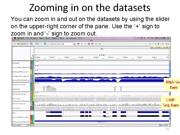 Zooming in on the datasets You can zoom in and out on the datasets Zooming in on the datasets You can zoom in and out on the datasets