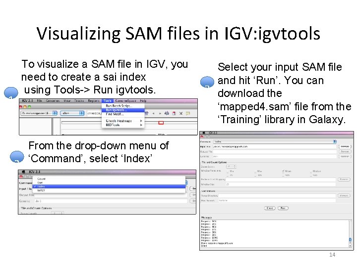 Visualizing SAM files in IGV: igvtools 1 2 To visualize a SAM file in Visualizing SAM files in IGV: igvtools 1 2 To visualize a SAM file in