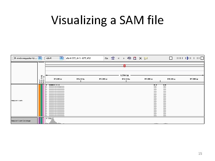 Visualizing a SAM file 15 Visualizing a SAM file 15