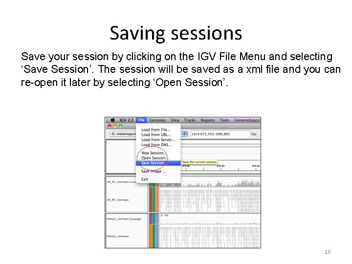 Saving sessions Save your session by clicking on the IGV File Menu and selecting Saving sessions Save your session by clicking on the IGV File Menu and selecting