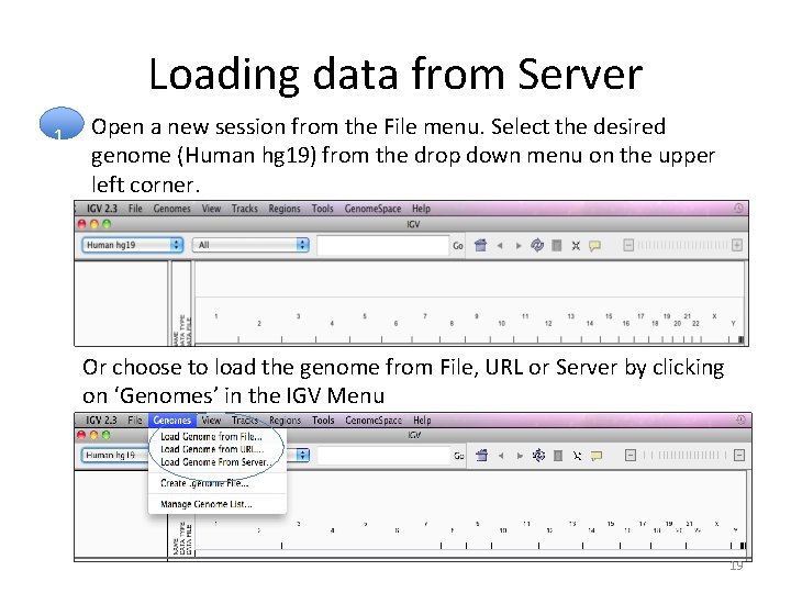 Loading data from Server 1. Open a new session from the File menu. Select Loading data from Server 1. Open a new session from the File menu. Select