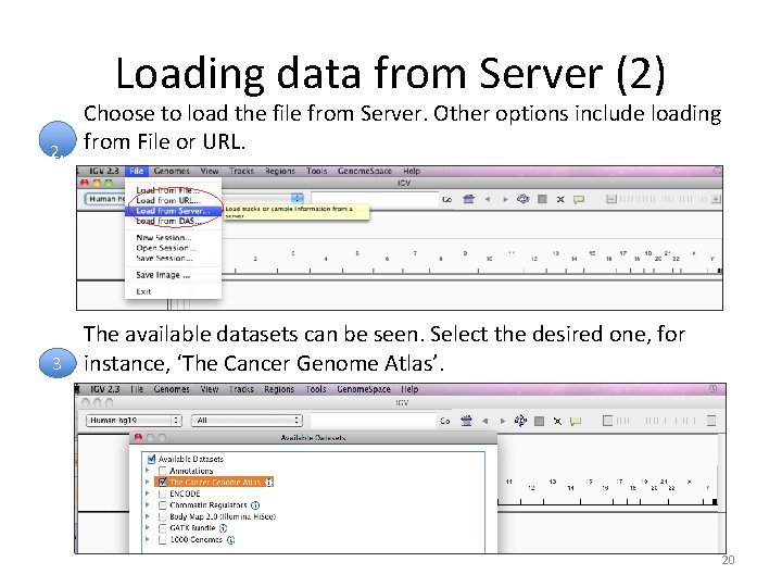 Loading data from Server (2) Choose to load the file from Server. Other options Loading data from Server (2) Choose to load the file from Server. Other options