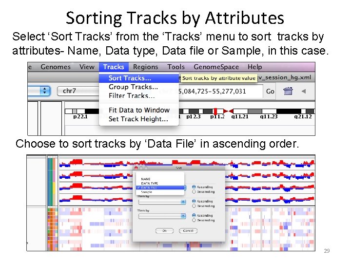 Sorting Tracks by Attributes Select ‘Sort Tracks’ from the ‘Tracks’ menu to sort tracks Sorting Tracks by Attributes Select ‘Sort Tracks’ from the ‘Tracks’ menu to sort tracks