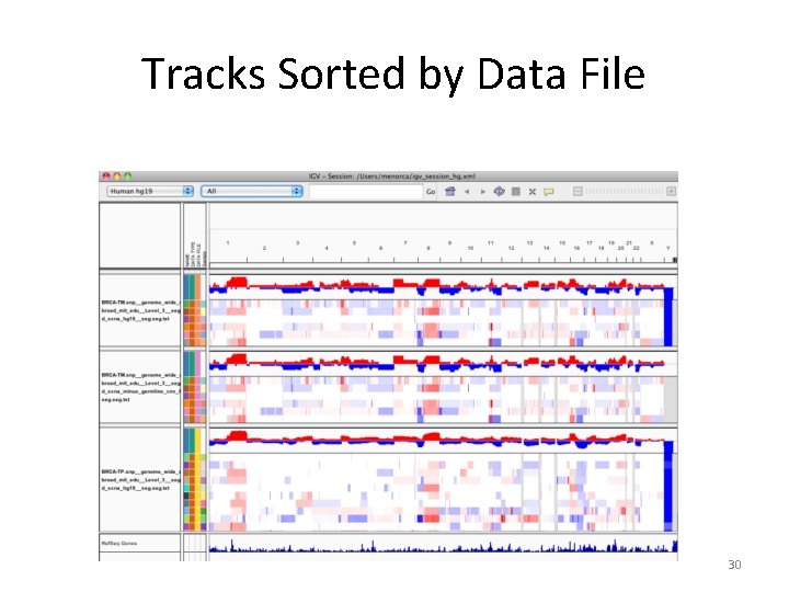 Tracks Sorted by Data File 30 Tracks Sorted by Data File 30