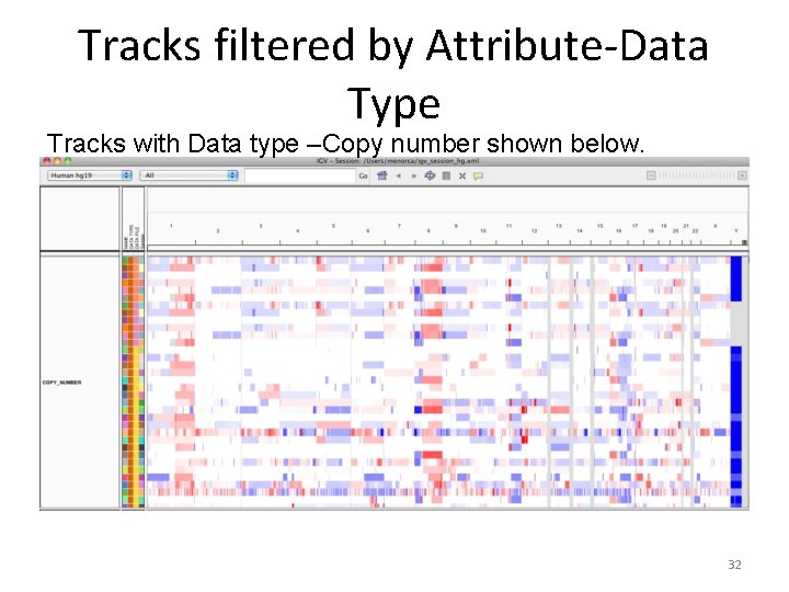 Tracks filtered by Attribute-Data Type Tracks with Data type –Copy number shown below. 32 Tracks filtered by Attribute-Data Type Tracks with Data type –Copy number shown below. 32