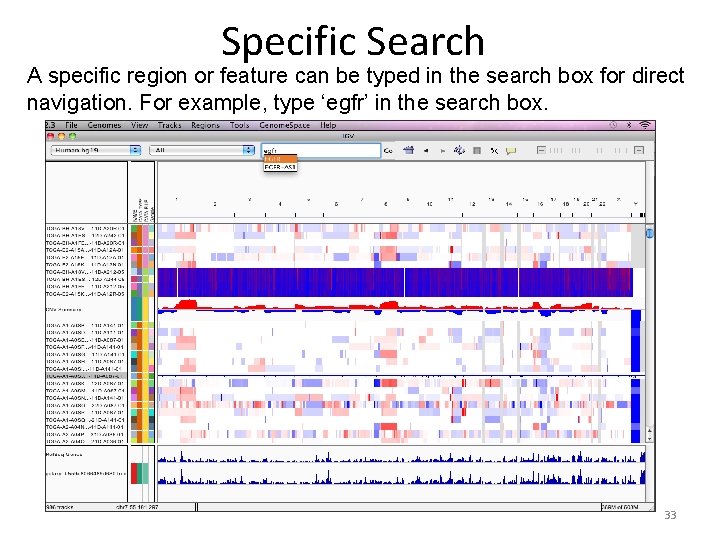 Specific Search A specific region or feature can be typed in the search box Specific Search A specific region or feature can be typed in the search box