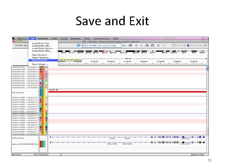 Save and Exit 35 Save and Exit 35