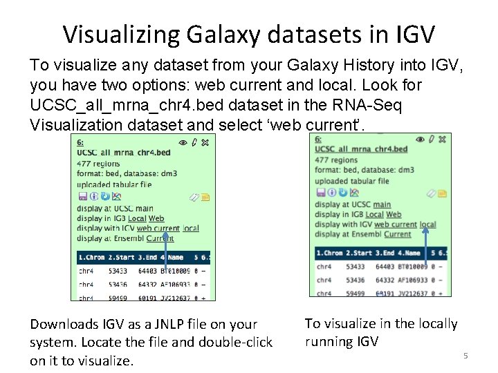 Visualizing Galaxy datasets in IGV To visualize any dataset from your Galaxy History into Visualizing Galaxy datasets in IGV To visualize any dataset from your Galaxy History into