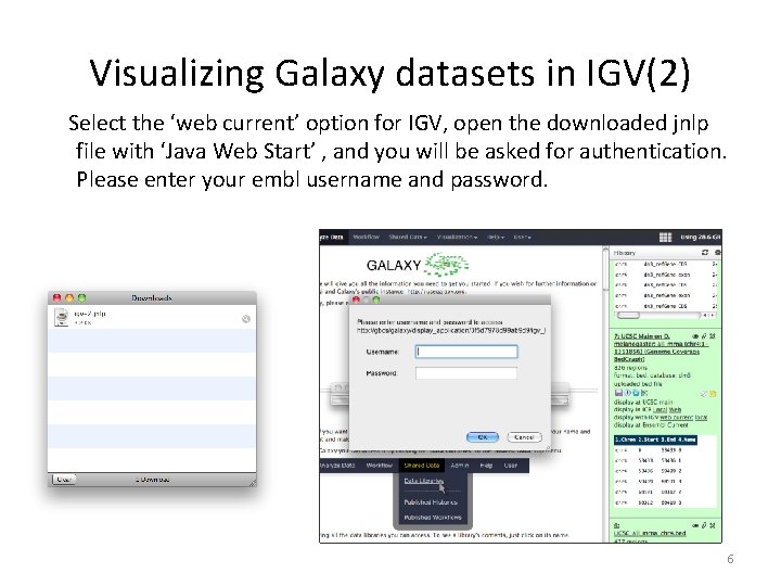 Visualizing Galaxy datasets in IGV(2) Select the ‘web current’ option for IGV, open the Visualizing Galaxy datasets in IGV(2) Select the ‘web current’ option for IGV, open the