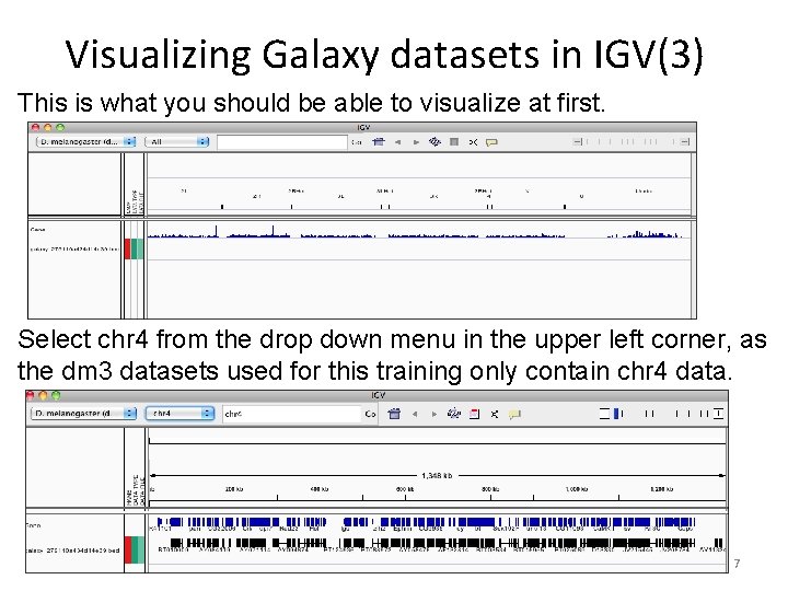 Visualizing Galaxy datasets in IGV(3) This is what you should be able to visualize Visualizing Galaxy datasets in IGV(3) This is what you should be able to visualize