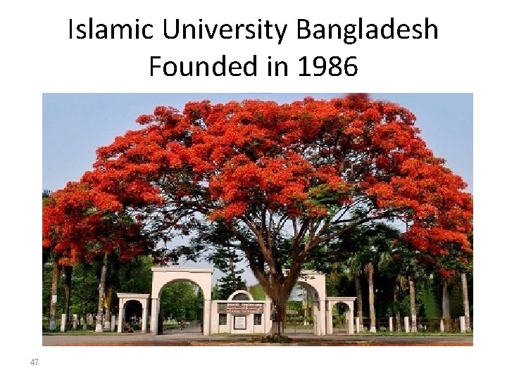 Islamic University Bangladesh Founded in 1986 47 