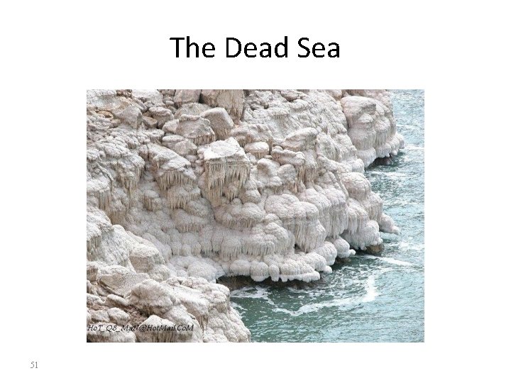 The Dead Sea 51 