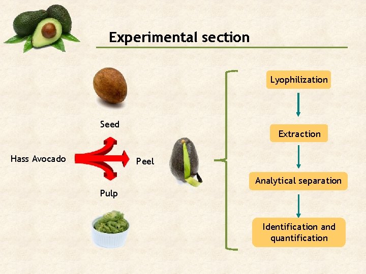 Experimental section Lyophilization Seed Hass Avocado Extraction Peel Analytical separation Pulp Identification and quantification