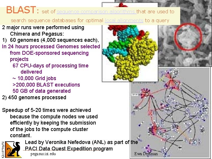 BLAST: set of sequence comparison algorithms that are used to search sequence databases for