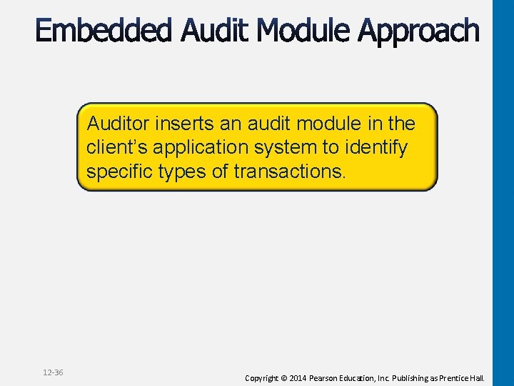 Auditor inserts an audit module in the client’s application system to identify specific types