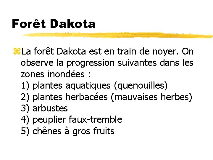 Forêt Dakota z. La forêt Dakota est en train de noyer. On observe la