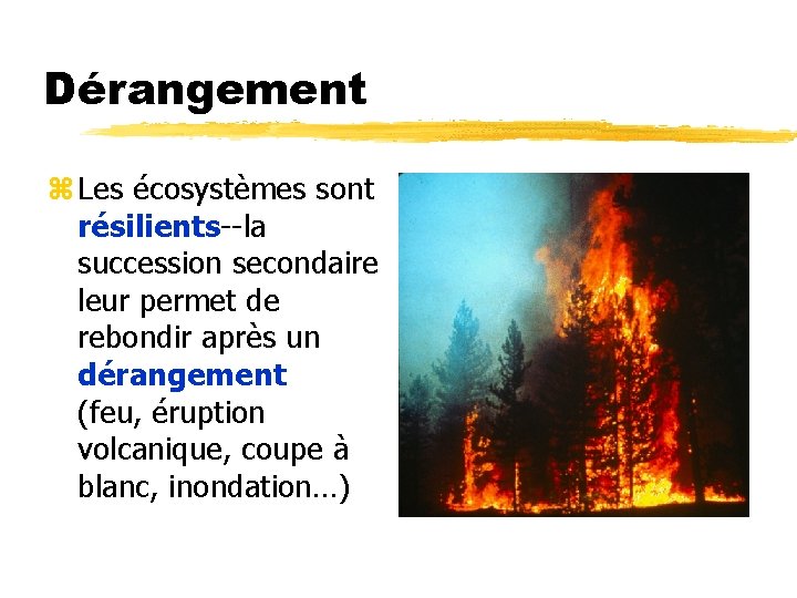 Dérangement z Les écosystèmes sont résilients--la succession secondaire leur permet de rebondir après un