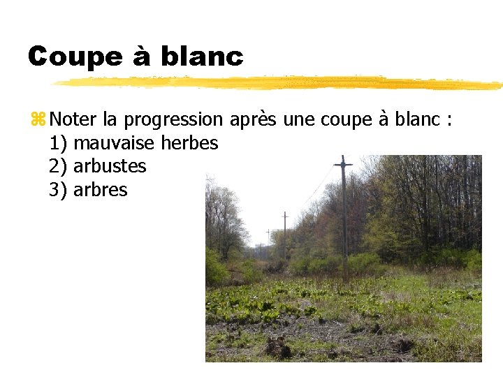 Coupe à blanc z Noter la progression après une coupe à blanc : 1)