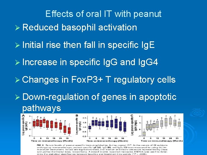 Effects of oral IT with peanut Ø Reduced basophil activation Ø Initial rise then