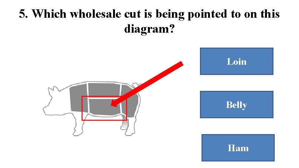 5. Which wholesale cut is being pointed to on this diagram? Loin Belly Ham 5. Which wholesale cut is being pointed to on this diagram? Loin Belly Ham