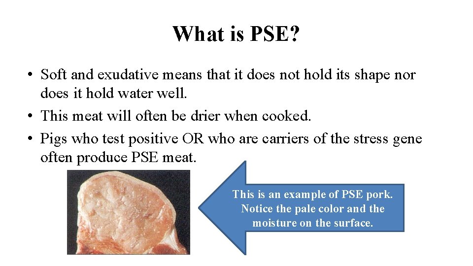 What is PSE? • Soft and exudative means that it does not hold its What is PSE? • Soft and exudative means that it does not hold its