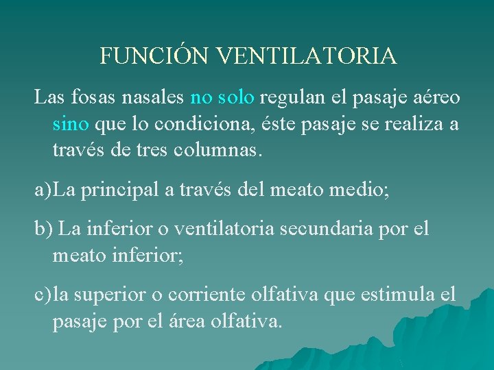 FUNCIÓN VENTILATORIA Las fosas nasales no solo regulan el pasaje aéreo sino que lo