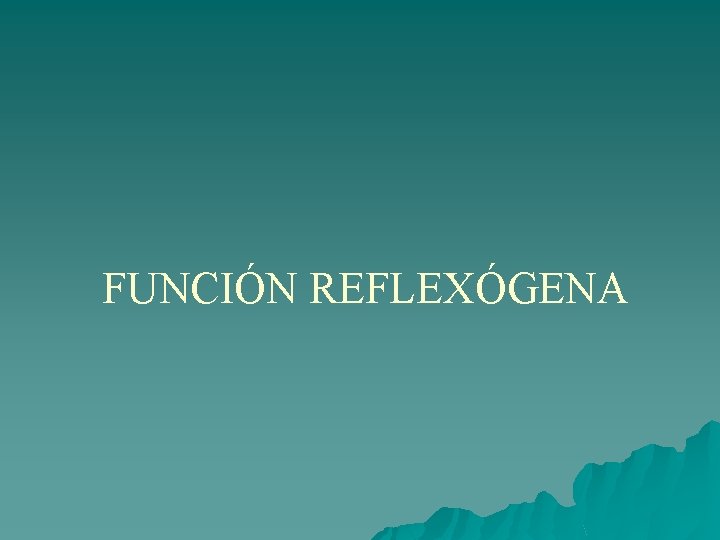 FUNCIÓN REFLEXÓGENA 