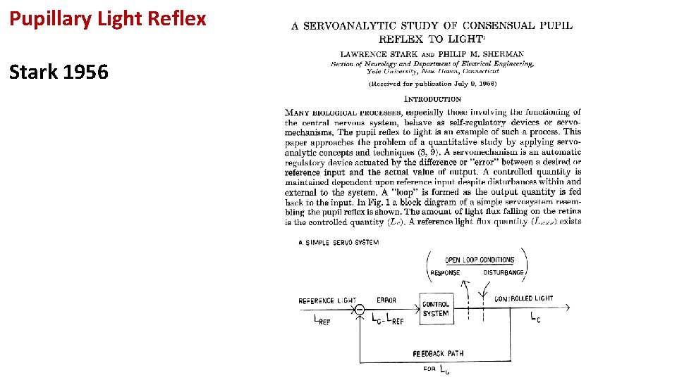 Pupillary Light Reflex Stark 1956 