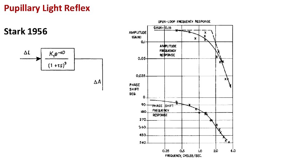 Pupillary Light Reflex Stark 1956 