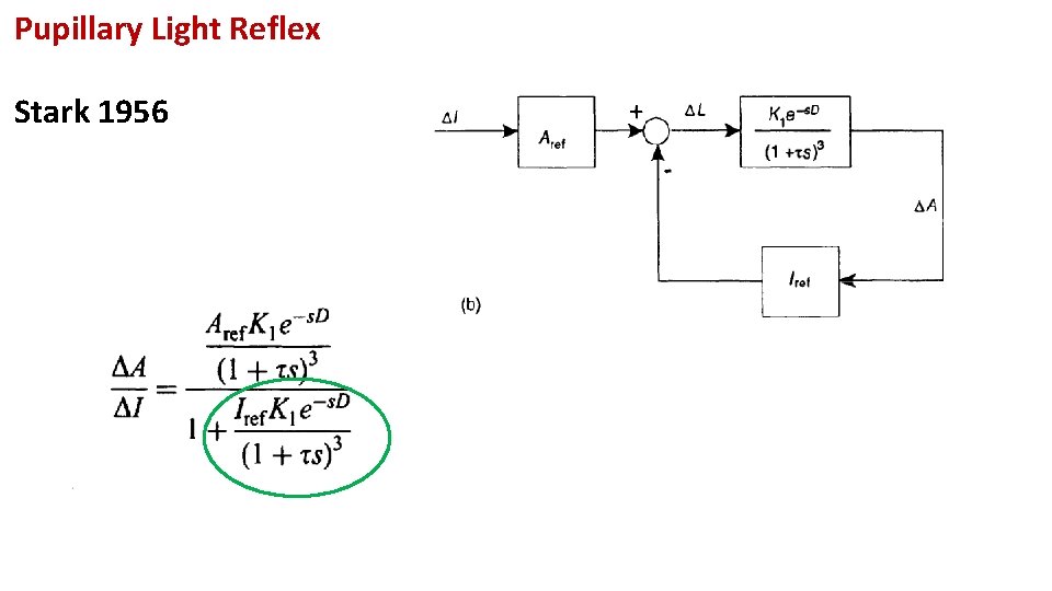 Pupillary Light Reflex Stark 1956 