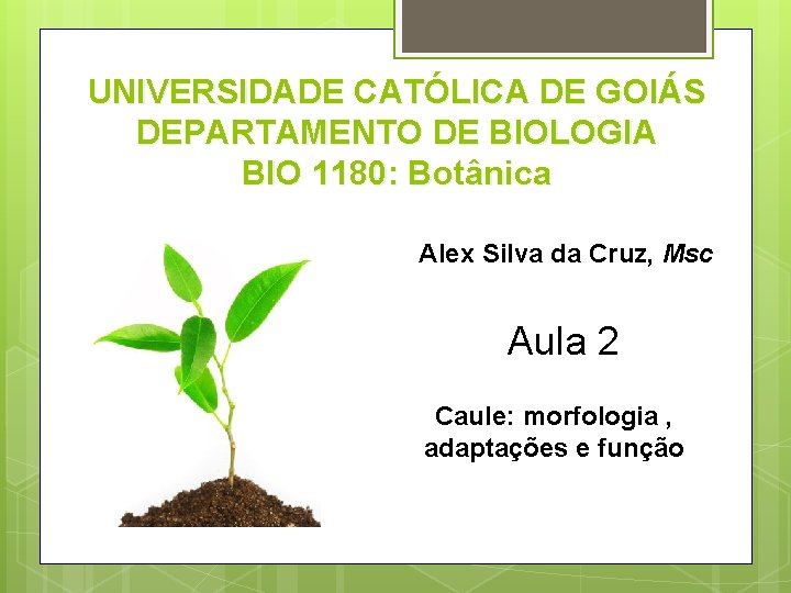 UNIVERSIDADE CATÓLICA DE GOIÁS DEPARTAMENTO DE BIOLOGIA BIO 1180: Botânica Alex Silva da Cruz,