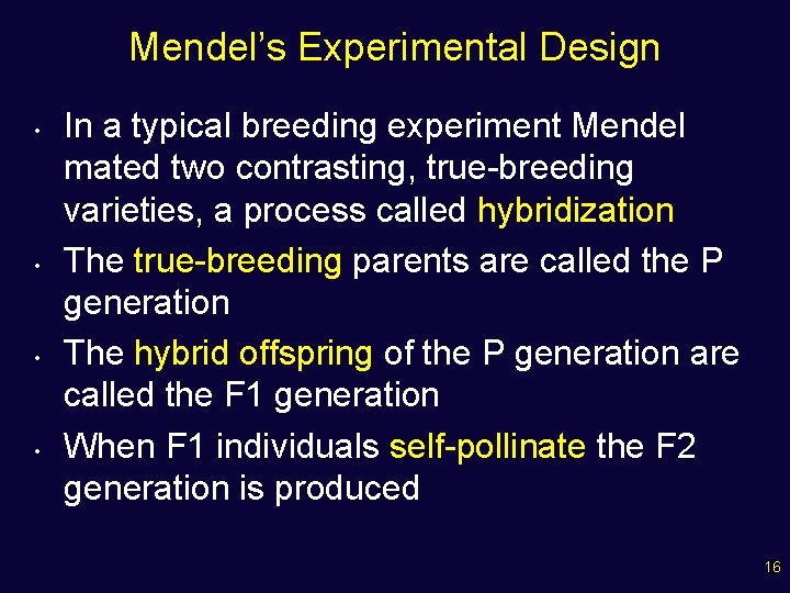 Mendel’s Experimental Design • • In a typical breeding experiment Mendel mated two contrasting,