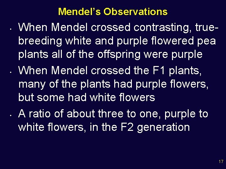 Mendel’s Observations • • • When Mendel crossed contrasting, truebreeding white and purple flowered