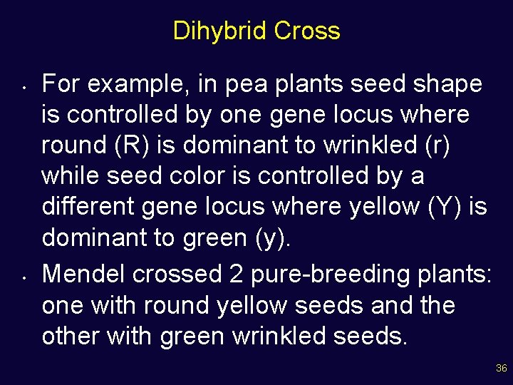 Dihybrid Cross • • For example, in pea plants seed shape is controlled by
