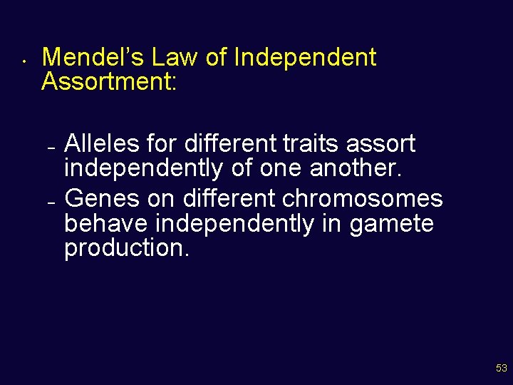  • Mendel’s Law of Independent Assortment: – – Alleles for different traits assort
