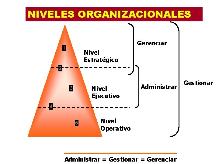 NIVELES ORGANIZACIONALES Gerenciar 1 Nivel Estratégico 2 Nivel Ejecutivo 3 Administrar 4 5 Nivel