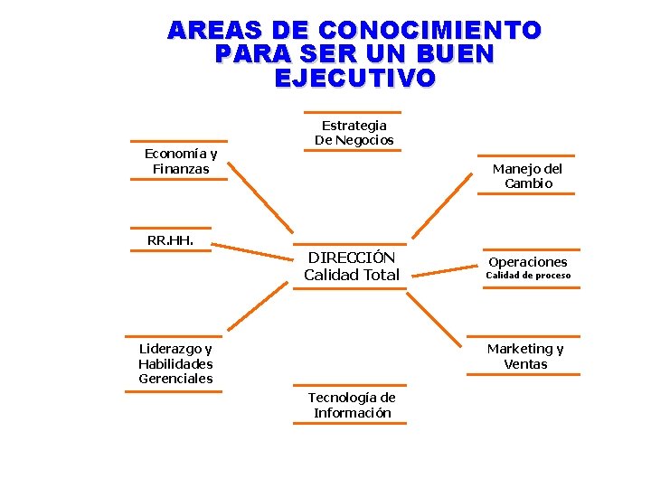 AREAS DE CONOCIMIENTO PARA SER UN BUEN EJECUTIVO Economía y Finanzas Estrategia De Negocios