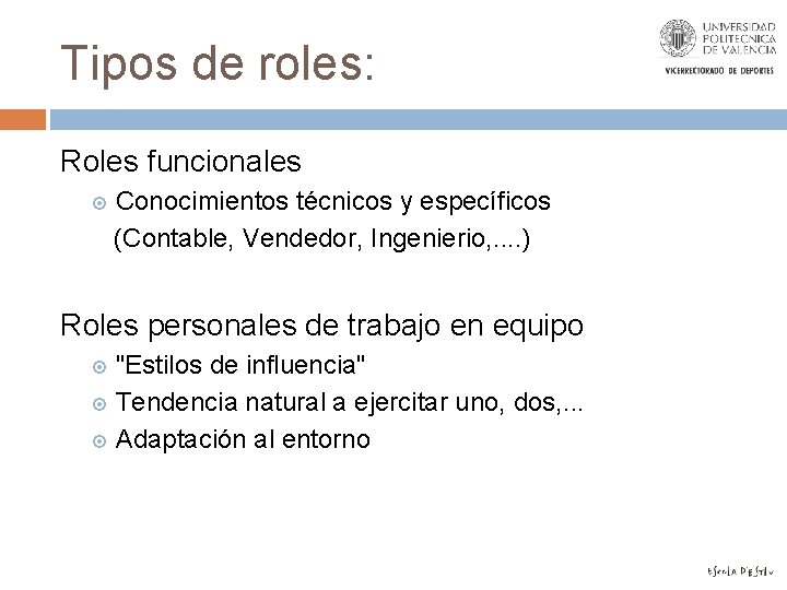 Tipos de roles: Roles funcionales Conocimientos técnicos y específicos (Contable, Vendedor, Ingenierio, . .