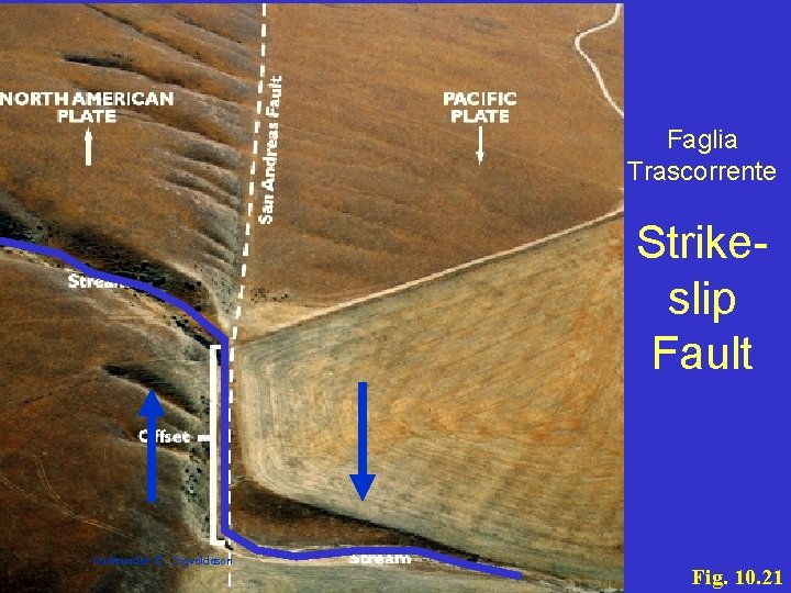 Faglia Trascorrente Strikeslip Fault Gudmundar E. Sigvaldason Fig. 10. 21 