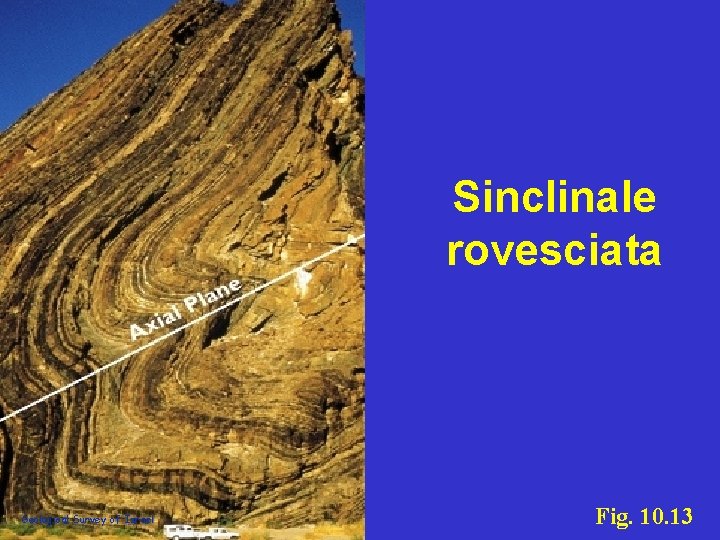 Sinclinale rovesciata Geological Survey of Israel Fig. 10. 13 