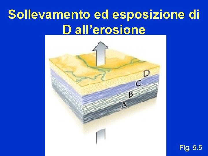 Sollevamento ed esposizione di D all’erosione Fig. 9. 6 