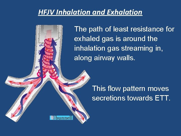 CO CO 2 CO 2 HFJV Inhalation and Exhalation The path of least resistance