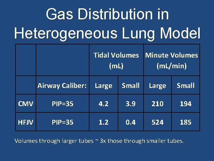 Gas Distribution in Heterogeneous Lung Model Tidal Volumes Minute Volumes (m. L) (m. L/min)