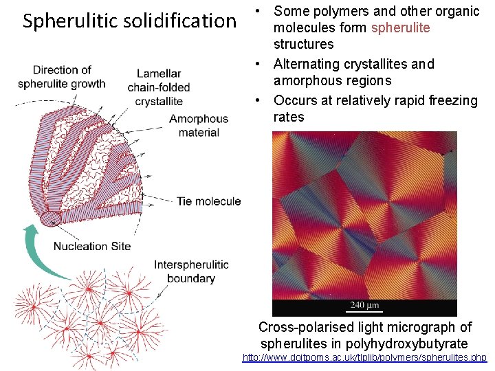 Spherulitic solidification • Some polymers and other organic molecules form spherulite structures • Alternating