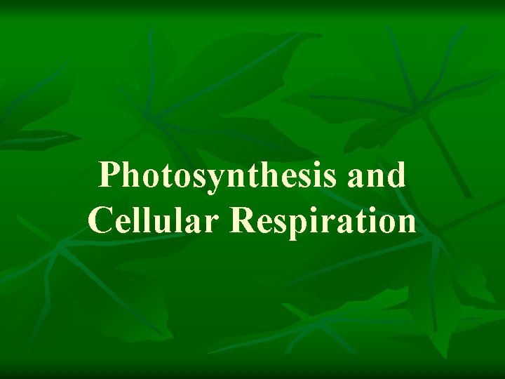 Photosynthesis and Cellular Respiration 