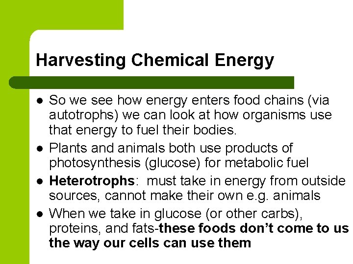 Harvesting Chemical Energy l l So we see how energy enters food chains (via