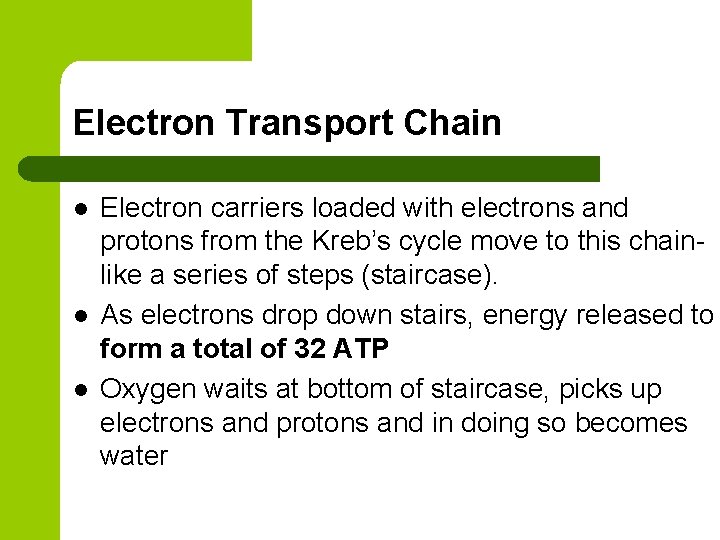 Electron Transport Chain l l l Electron carriers loaded with electrons and protons from